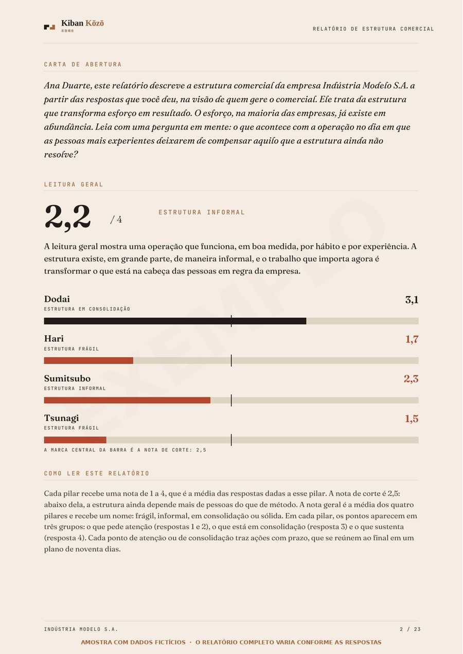 Página de amostra do relatório: leitura geral com a nota de cada um dos quatro pilares